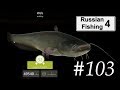 Unglaublich  mein grter fang   russian fishing 4 103  deutsch  gameplay  underwaterfrank