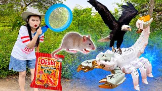 Changcady và gói bim bim thất lạc, lần theo các con vật: chuột, đại bàng, bọ cạp - Part 217
