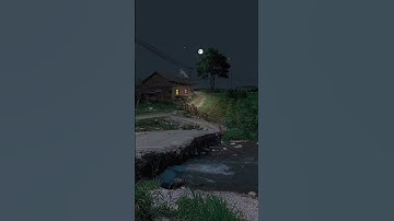سورة النور { ٣٦ }