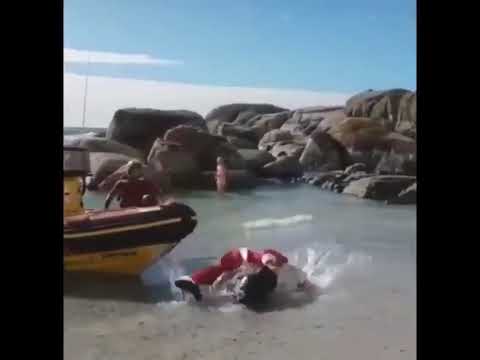 Idiots at work