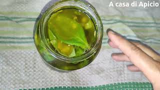 Basilico sott&#39;olio metodo della nonna per conservare il basilico a lungo