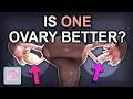 Which ovary is better for becoming pregnant?