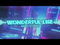 Black - Wonderful Life (ENDRIU BOOTLEG)