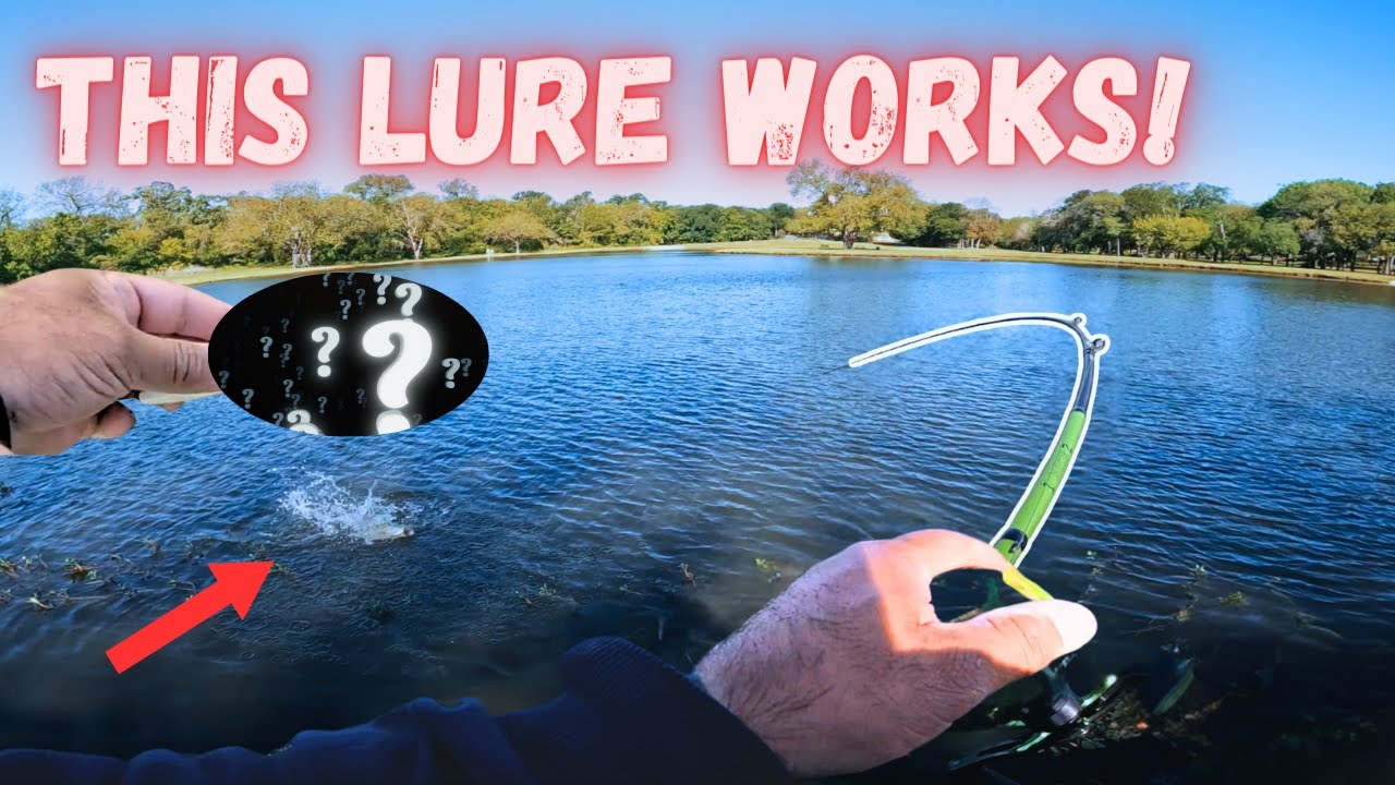 Bass Fishing in Pisa – Bass Manager | The Best Bass Fishing Page On The