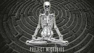 PROJECT NECROBIOS - DEVILS MAZE