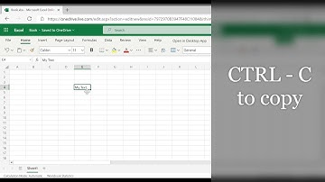 Excel Shortcuts in Seconds: Copy-Paste (Ctrl + C, Ctrl + V)