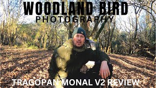 WOODLAND BIRD PHOTOGRAPHY | FIRST LOOK REVIEW TRAGOPAN MONAL V2 | Canon R3 \& EF 500 mm F4L IS Mk II