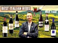 Italian red wines to pair with food - (The most famous Italian Red wines paired with nice food)