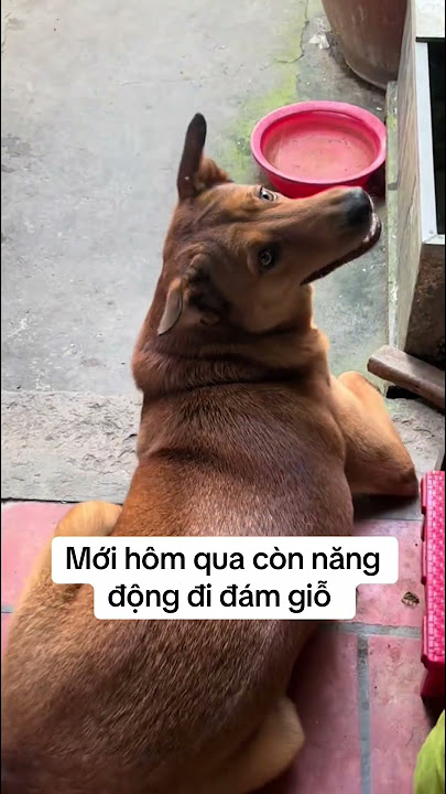 Ai cười thì xuống địa ngụk: Khối nghỉ hè quanh năm, không bị ong chích đời không nể