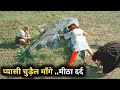 Sukkubus film explained in hindiurdu summarized   screenwood