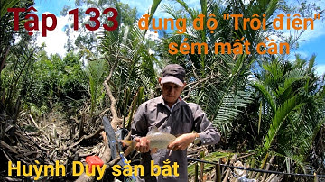 Tập 133. Lần Đầu Chạm Mặt Cá Trôi Sông Vàm Cỏ Tây || Chết Danh Trôi Điên Luôn #huỳnhduysănbắt