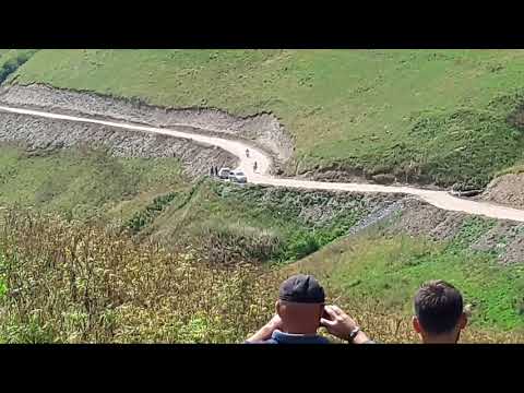 კობას დოღი ~ ჯუთა