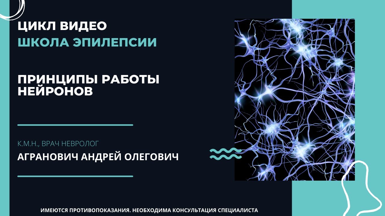 Школа эпилепсии. Эпилепсия неврология. Работа нейрона книги. Строение нейронной сети.