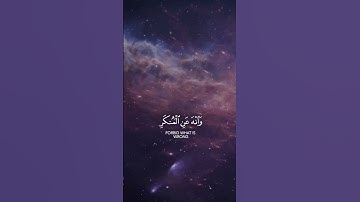 Surah Luqman [31:17] سورة لقمان #quran #سورة #القران