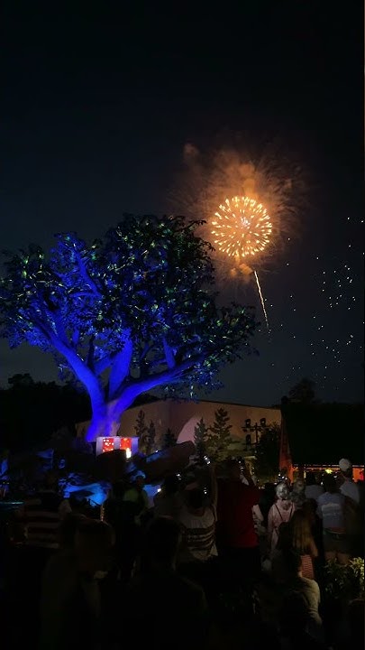 dollywood hours 4th of july