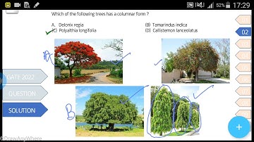 GATE : 2022 Practice set 7 #GATE #Architecture #Planning # landscape #Treesscientificnames #Trees