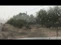 Morning snow on Tucson's east side