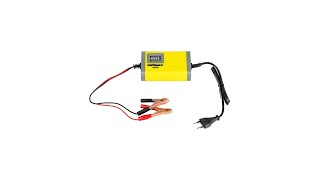 Cas Aki Charger Accu Mobil Motor 12V 20AH