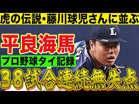 【藤川球児さんに並ぶ】平良海馬『38試合連続無失点のプロ野球タイ記録』