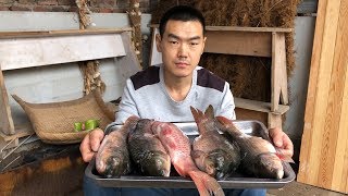 【食味阿远】岳父给了5条鲤鱼，阿远全部一锅炖了，吃1条送4条，一条不剩 | Shi Wei A Yuan