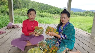 Coj Phauj Npib Wb Mus Noj Txiv Lawm Puas Tom Tej Tham Lus Os