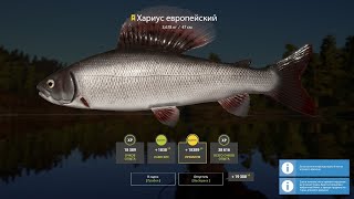 Русская рыбалка 4:Троф озёрка за стрим!РР4