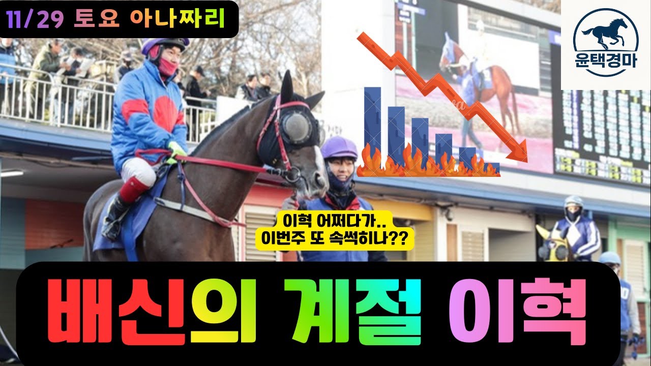 11/29 토요경마 아나짜리 배신의 계절/인기마의 몰락은 우연이 아닙니다