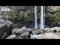 Sonido de Cascada | Agua Cayendo en el Bosque | Ruido Blanco 12 Horas ASMR para Dormir y Relajarse