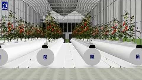 How a Semi Closed Greenhouse Optimizes Climate & Crop Growth