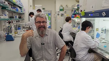 Wetenschappers keren Alzheimer bij muizen om met behulp van nanodeeltjes