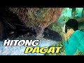 PAG HUHULI NG MAKAMANDAG NA ISDA, CORAL CATFISH, HITONG DAGAT ADVENTURE , (Catch N'Cook)