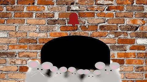 Creating a G.I. F. in Pic Monkey editing