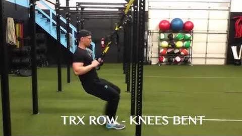 TRX Row – Knees Bent