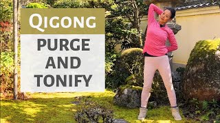 PURGE AND TONIFY | QIGONG | TCM