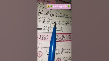 سورة النصر تلاوة رائعة تريح النفس وتزيل الهم #القرآن_الكريم #quran #اكسبلور #المصحف #قرآن 💐🌻💐🌻💐🌻💐🌻💐🌻