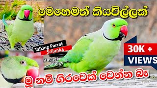 Video Download