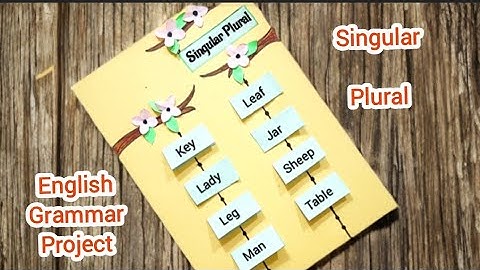 Singular Plural Chart Project Idea | Singular Plural English Grammar TLM #singularpluralchart 