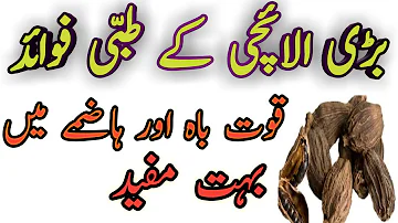 Badi Elaichi Ke Fayde In Urdu