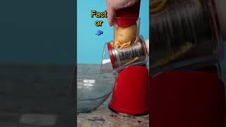 Making Cheese Potato Chips