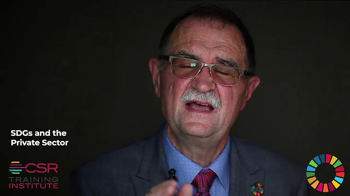 SDGs, CSR and the Private Sector