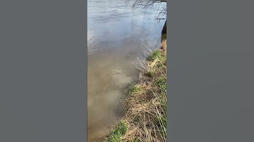 Small Paper Boats Floats Away🫡🥲