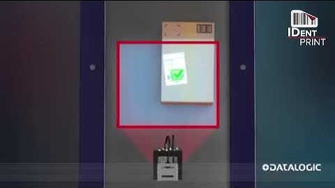 IDentPrint - Soluções para Transportes e Produção da Datalogic