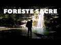 Camminare 4 giorni da solo nelle Foreste Casentinesi