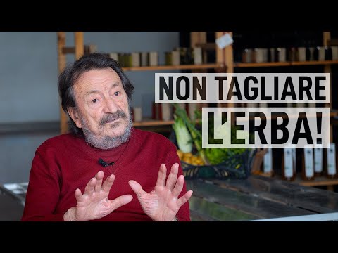 Video: Informazioni sull'abete di Fraser - Guida alla cura degli abeti di Fraser