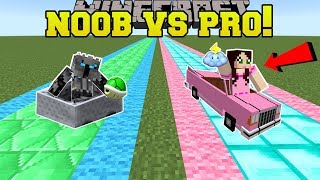 Minecraft: NOOB VS PRO!!!  FAN MADE MARIO KART RACE  MiniGame