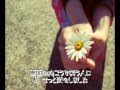【レモネード/詩月カオリ】歌ってみた【Lemonade/Kaori Utatsuki】(Cover)