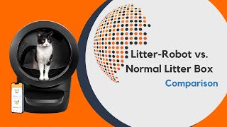 Litter Robot comparison: Litter Robot vs normal litter box