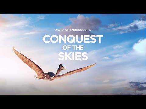 David Attenborough's Conquest of the Skies in 3D VR | Meta Quest