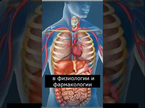 Кто такой Ганнибал Лектер | Страшилки - YouTube