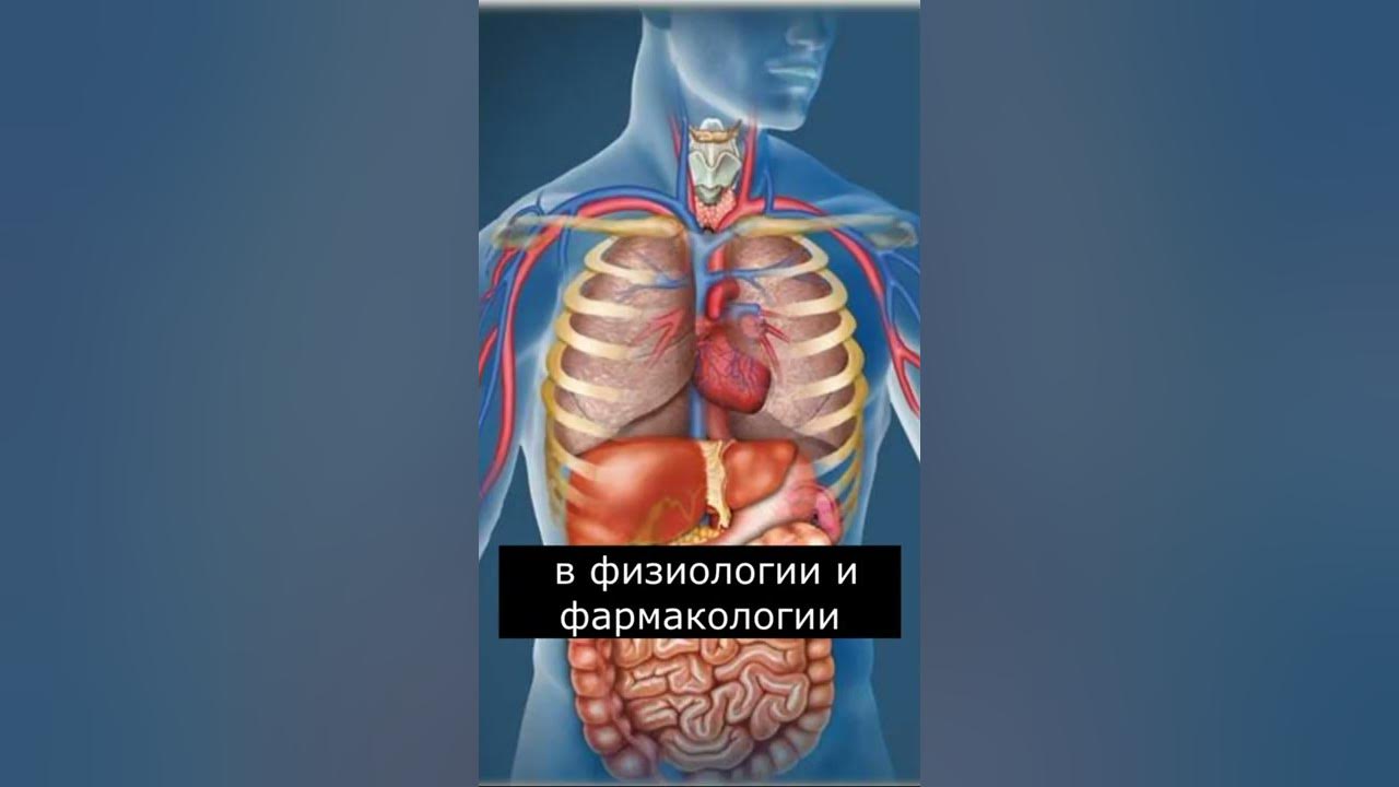 Кто такой Ганнибал Лектер | Страшилки - YouTube